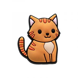 Charm GATO NARANJA